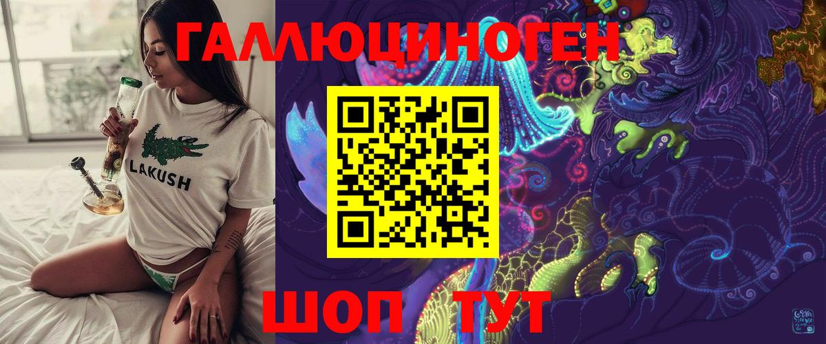 Саров  Псилоцибиновые грибы Psilocybine cubensis  Вход с VPN 